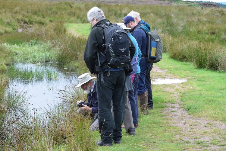 Photograph of a group of people dressed in outdoor wear with backpacks standing next to a pool of water edged with reeds. One person is kneeling down taking a photograph with the others looking on.